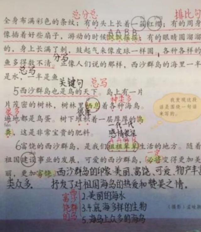 小学生“学霸笔记”走红，网上课堂笔记堪比高中生