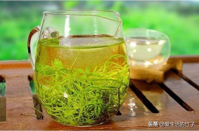 绞股蓝和乌蔹莓的区别，虽然很像，但药用价值是不同的，认识一下