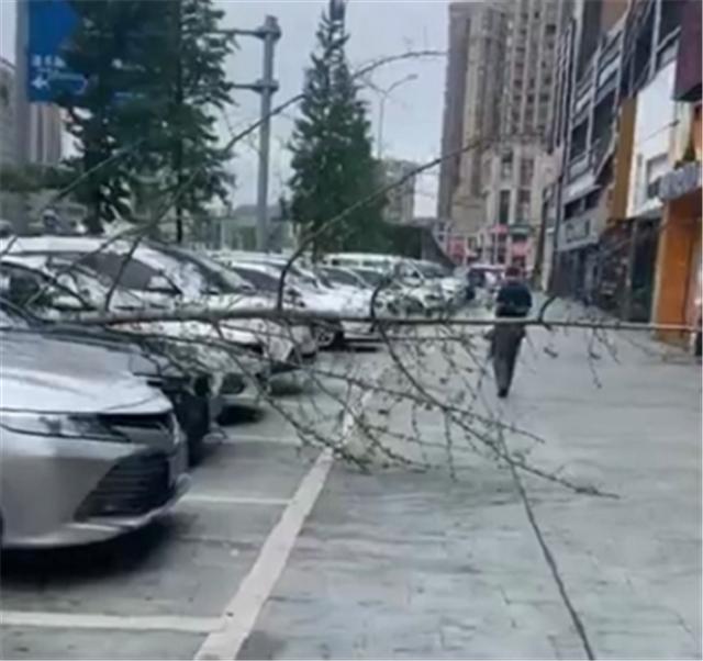 一棵树倒了，直接砸到29万宝马2系，车损4位数，保险会赔偿吗？