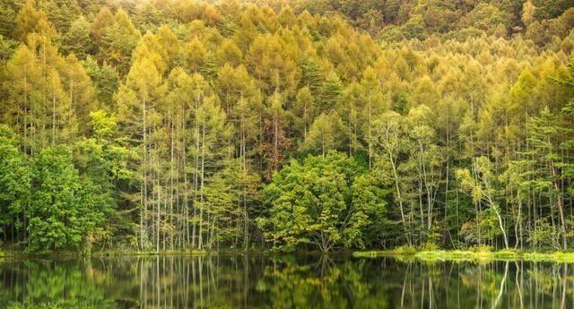 日本北海道、美瑛绿池和蓝绿色的水是四季不同的风景