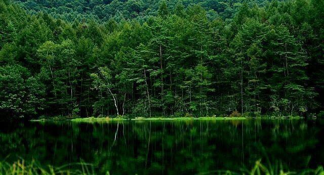 日本北海道、美瑛绿池和蓝绿色的水是四季不同的风景