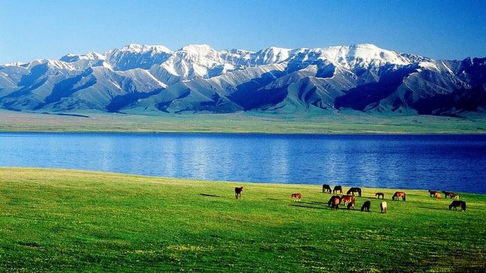 新疆哈密下辖的3个行政区域一览