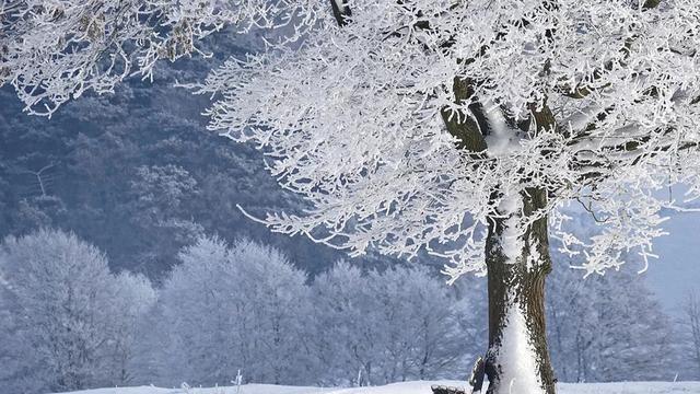 做人要守初心，正如李商隐诗“桃李盛时虽寂寞，雪霜多后始青葱”