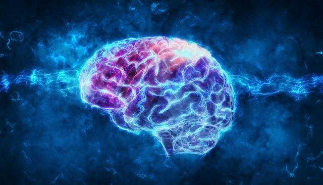 新型大脑启发式学习方法来了，可帮助人工神经网络节省内存和能量
