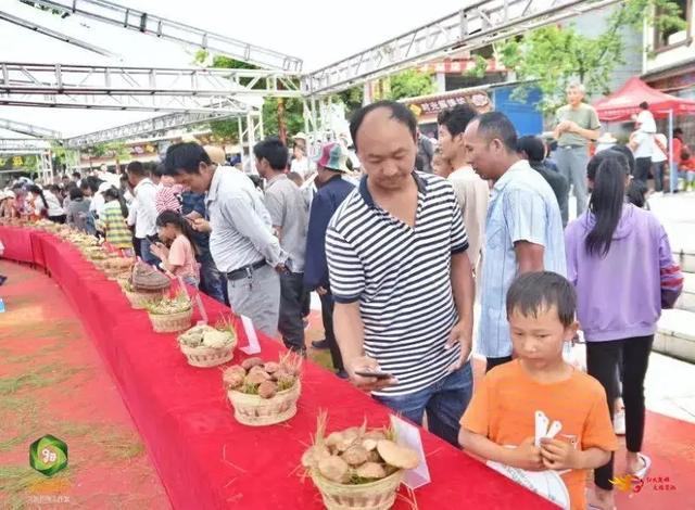 又是一年野菌飘香时，去南华享受野生菌采摘的乐趣吧