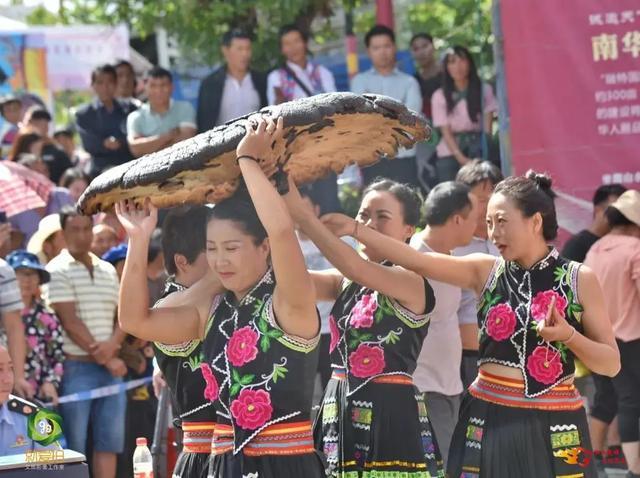 又是一年野菌飘香时，去南华享受野生菌采摘的乐趣吧