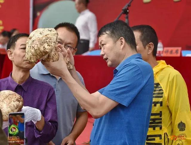 又是一年野菌飘香时，去南华享受野生菌采摘的乐趣吧