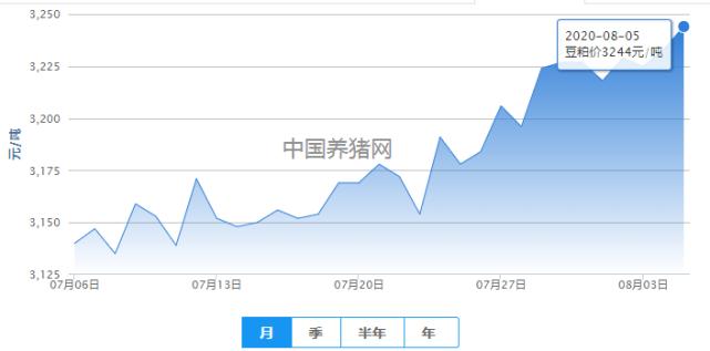 玉米豆粕双双小涨！本月有望逐步持稳，豆粕看涨几率更高！