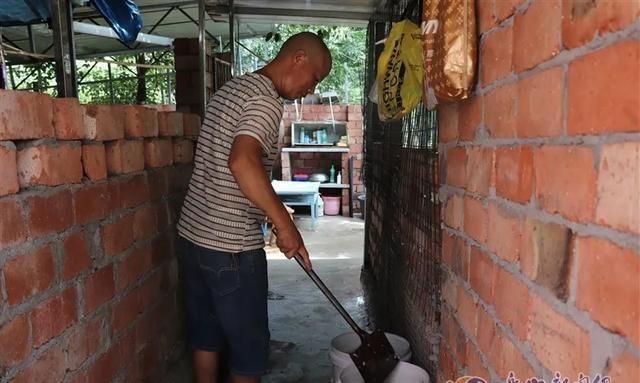 探访乐山市中区的流浪犬收容所，它们需要更多关爱！