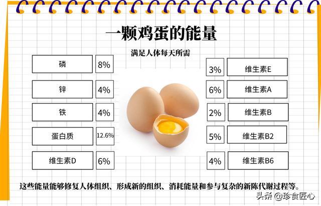 带你认识一颗鸡蛋