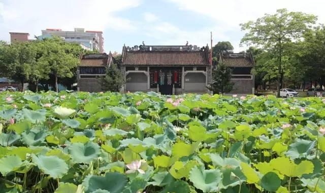 惊人发现！2025年番禺钟村那个小巷的现状与历史变迁揭秘