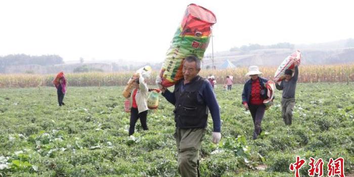壮大经济总量 促进农民增收_农民卡通图片