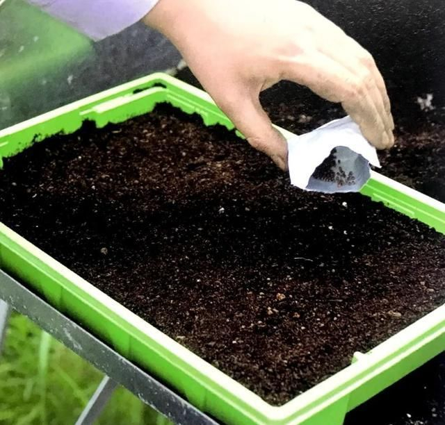 浸泡种子的目标是什么