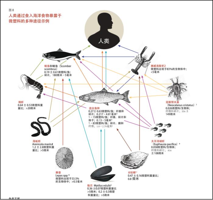 图自《塑料星球的隐藏成本》