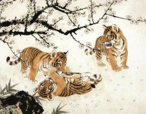 属虎密码：1962年山林虎、1974年话多的出山虎、1986年的立定虎！