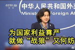 德媒指责中国"战狼外交"?先把汉字写对吧