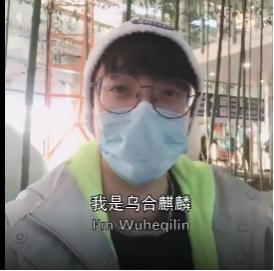 乌合麒麟(视频截图)