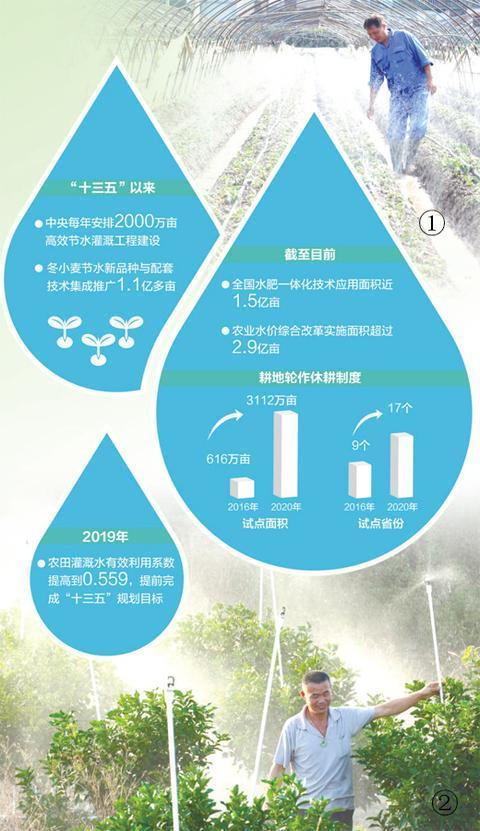 图①:在浙江建德市黄泥墩村田间,农民为草莓进行微滴灌。宁文武摄(人民视觉)