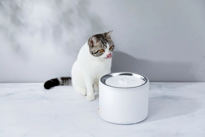 △ 小佩推出的第三代饮水机尝试解决了饮水机的浮毛问题,张俊超谈到,这款产品迭代后是否解决了用户问题仍需市场检验。图片提供 | 小佩科技