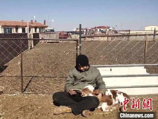 图为额日和木巴图搂着小牛犊在牛圈里上课。 受访者供图