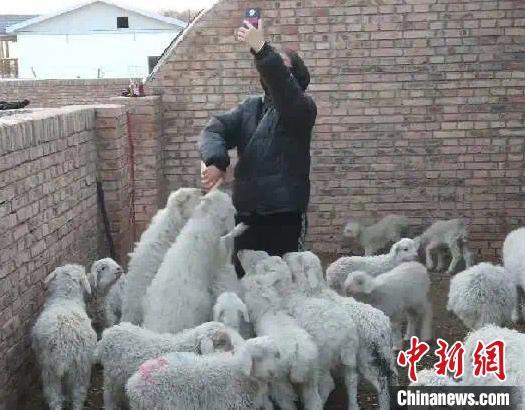 图为嘎迪娜边喂小羊羔边上网课。 受访者供图