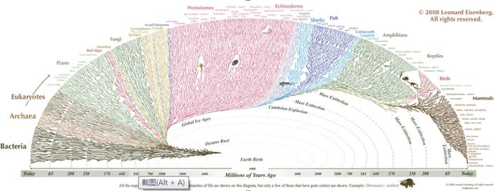 地球上不同的生物类型出现的时间和所占的比例图。