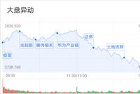 A股午后画风突变：黄金基金逆市收红 公募这样说