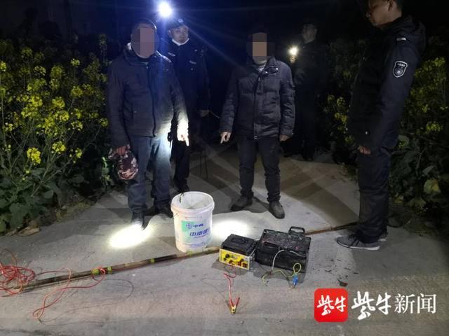 都是好吃惹的祸！两男子嘴馋，深夜微信相约非法捕鱼去