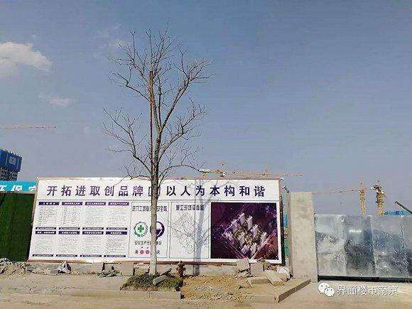云江印月花园(大华G13地块)