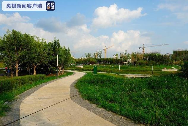 央视新闻 图