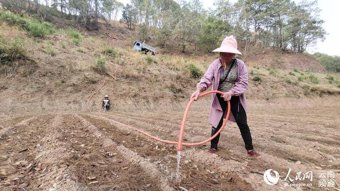 抗旱春耕图：云南各地全力保障春耕生产