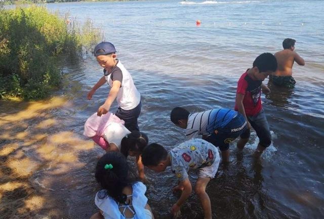 【原创】读诗人九歌《七律.渔父》有感