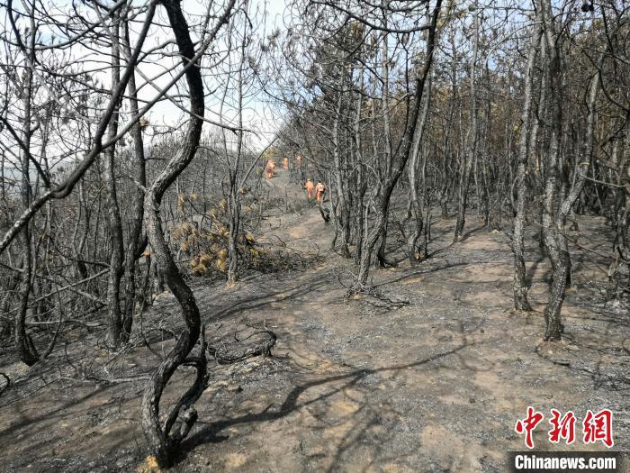 昆明禄劝火场告捷 西山区再起山火