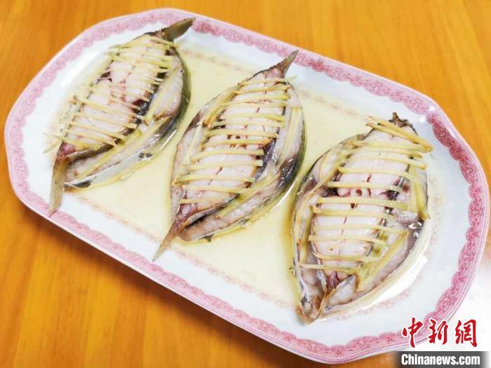 被戏称为“生死恋”的梅香马鲛蒸新鲜马鲛 郭军 摄