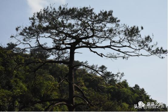 探寻与记录·中国传统村落——广西容县杨村镇东华村