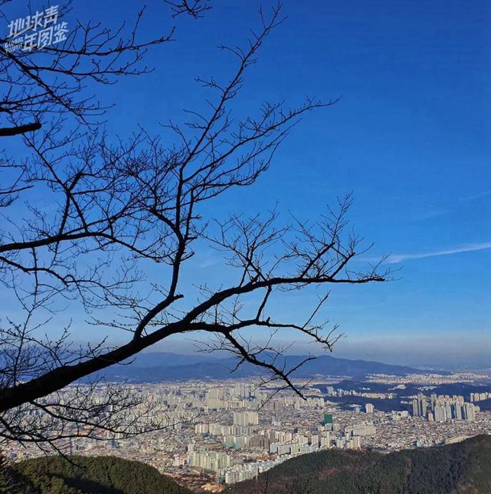 我们家在大邱市的北边,坐车大概15分钟就是启明大学附属童山医院。自从2月18日“31号病人”出现,大邱疫情开始变得严重,我2月份原本忙碌的生活也戛然而止。我想要申请国际贸易相关的工作,一直在打工存钱准备语言考试,但是因为疫情考位取消,一直在家隔离。