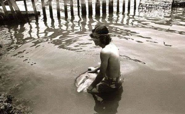 那个夏天，我们偷吃了树上的红果