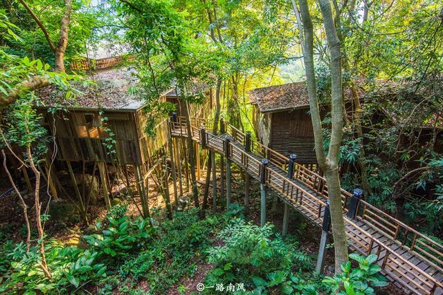 距离广州火车站175公里有个驿站，房子建在树上，四周都是森林