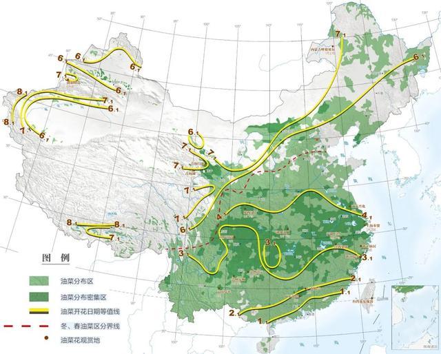 从江南仲春到塞北盛夏，它开遍了中国