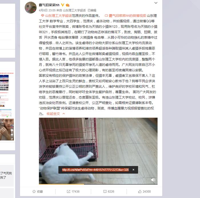 网曝山东高校学生拍摄虐猫视频贩卖 学校工作人员回应：确有此事，目前正在调查中