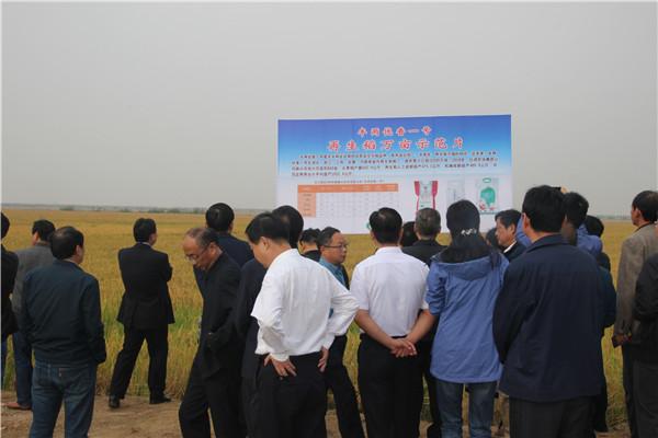 丰乐种业:释放创新活力 跑出科研“加速度”
