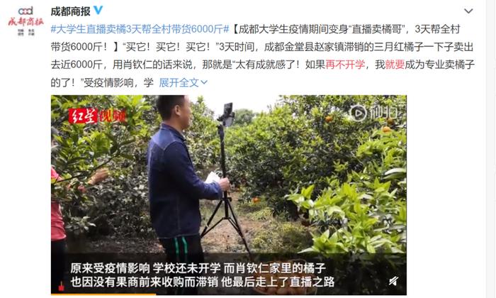 △再不开学,俺就要变成橘子界的李佳琦了
