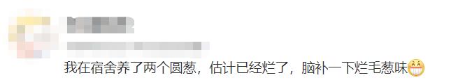 △要不是疫情,还真不知道大学生们在宿舍里都养了点啥