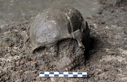 福建奇和洞约8400年前的2号个体头骨。平潭国际南岛语族研究院 范雪春供图