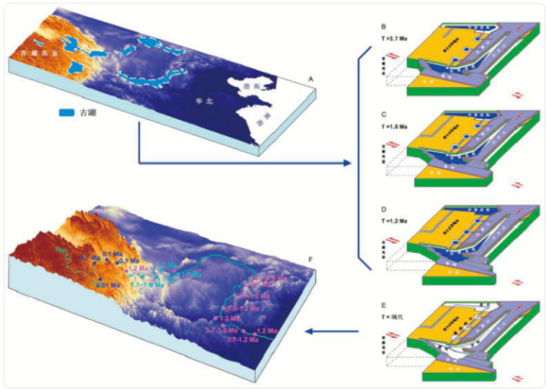 黄河中上游水系发育过程与区域构造和地貌演化概念模型