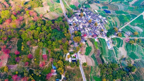 邂逅·潞江：览世界名山，品民族风情