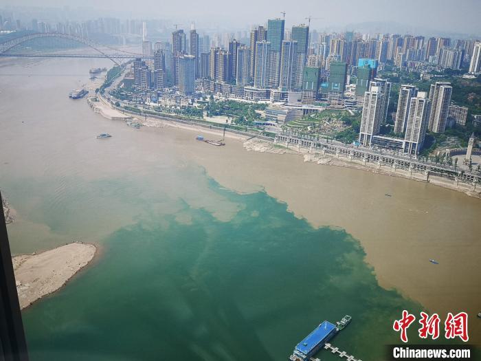 图为长江与嘉陵江交汇之处“泾渭分明”的景象。 韩璐 摄