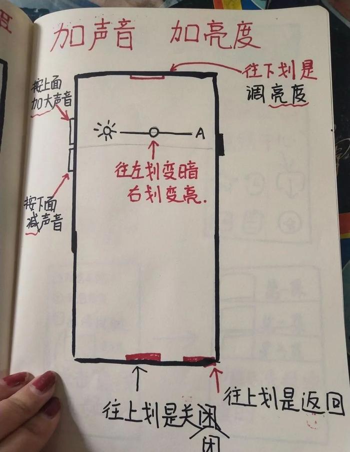 ——图片来自网络