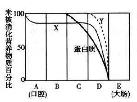 初中生物:知识点梳理和思维导图,初一初二考生必看