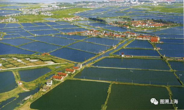 叙说地图:上海地名中的“解放”元素